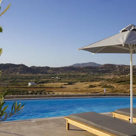 Villa Naxos Aigli Villas-master *