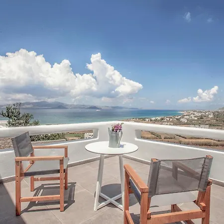 Villa Naxos Aigli Villas-master *